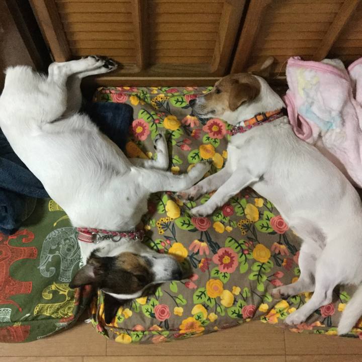 F9e53245 f97f 41ae 9b6b f427c195edd4 1527166261823