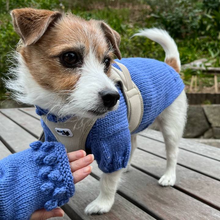 F9e54ee9 3f55 4c87 9d75 f95a00c6ea52 1710979186465