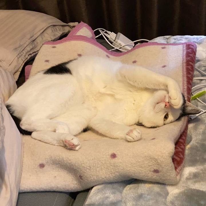 F9e5521b 87e8 4ea8 8b69 55d0fde3c2c9 1622382515054