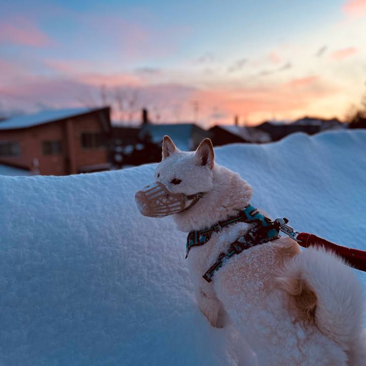 F9e55610 e2a2 4cd5 9a7e e1b5ba4d7141 1736374516647