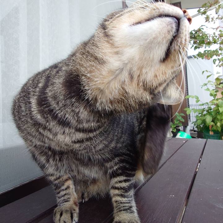 F9e5764d 5923 46ea 9e0b 3c9530525bdc 1730013755066