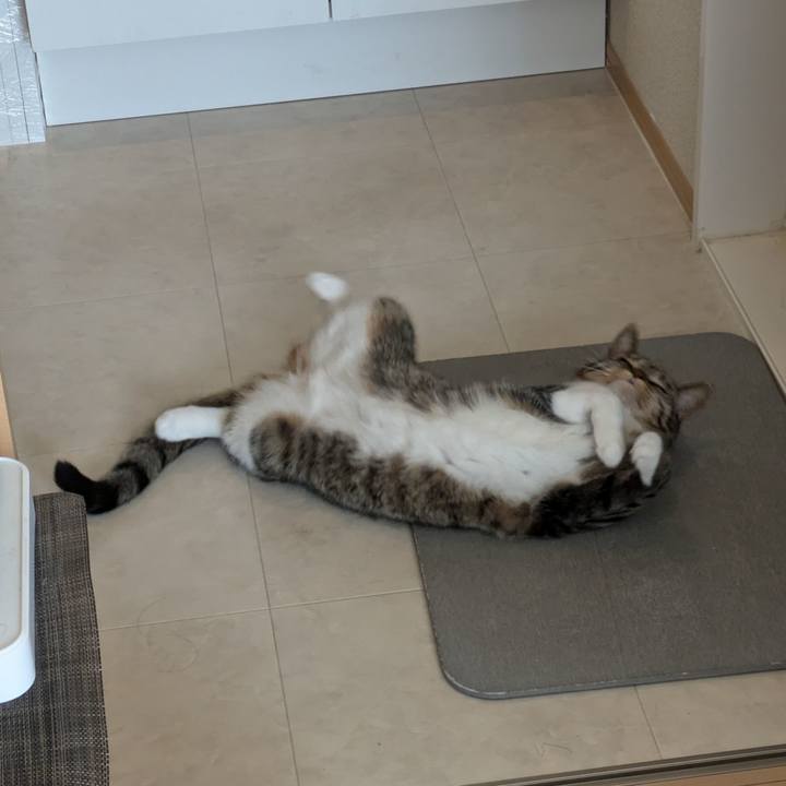 F9e5bdaf a38b 40e9 817a 36e82f9b38f5 1731810537928