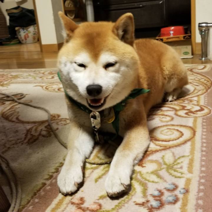 F9e5e22e eb60 4edb a4ea 17d78c5e029a 1557743629651