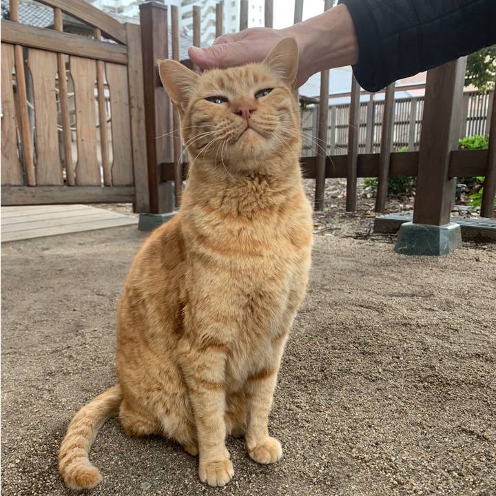 F9e5e276 63d7 49b8 923c 4c3c8345c1ec 1579935039761