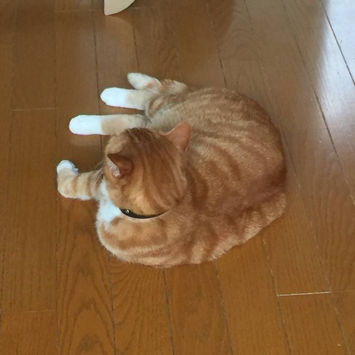 F9e600fc 85d6 4fa2 83b0 e614278c098b 1556680231617