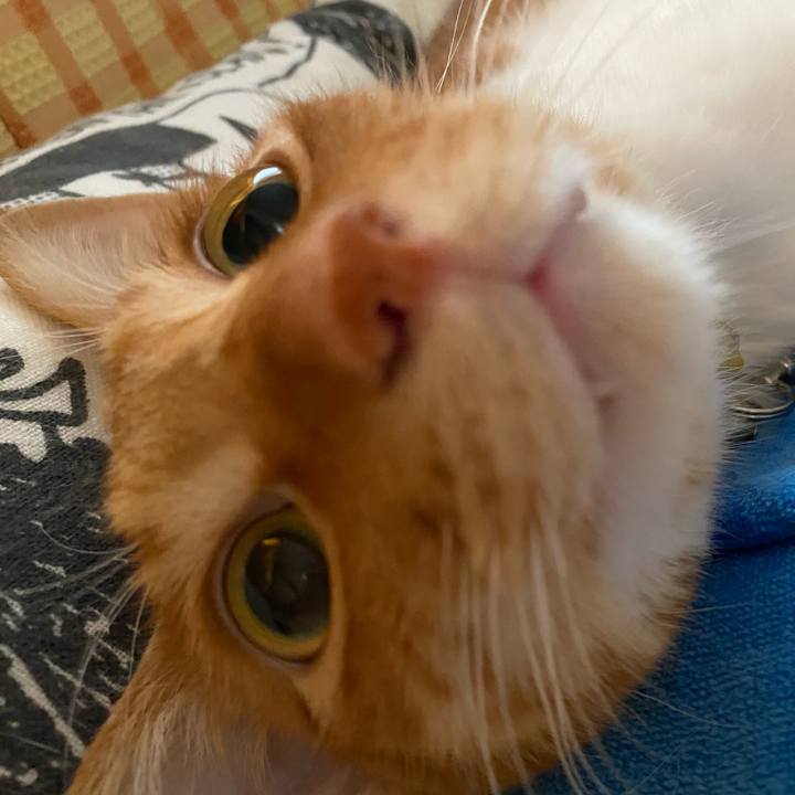 F9e6060b ccb9 434a 9b3d c930f0079669 1594438715217