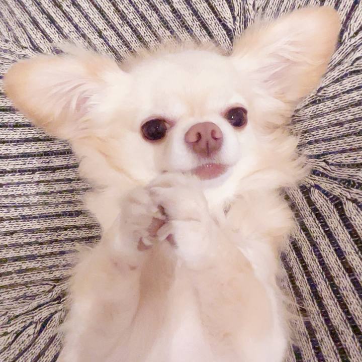 F9e61095 fd91 4560 bd3c a770e5ff7427 1752310443444