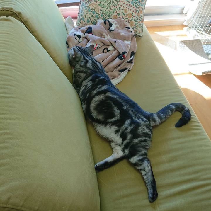 F9e63048 fac1 44ea 83f4 f45b3ee5fa92 1575429340005