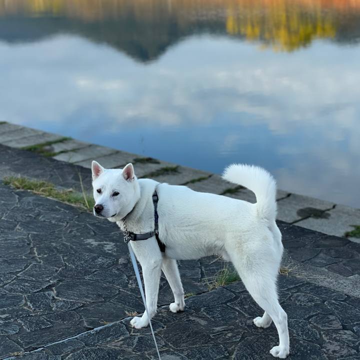 F9e64dc5 76bd 43ba 983f 260653f58b55 1606188822721