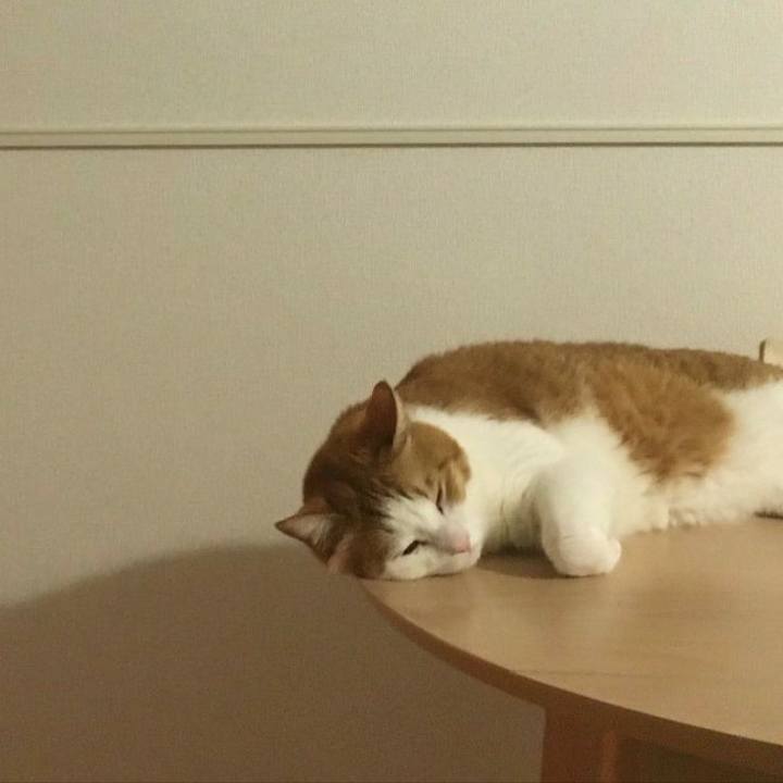 F9e66a5e 727f 4a29 8fb3 e73de7d81e35 1583064952035