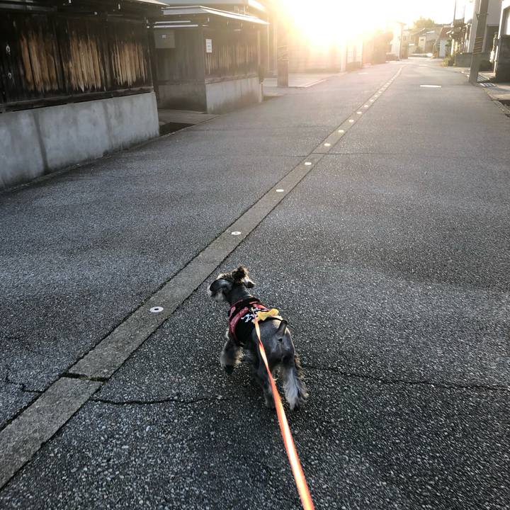 F9e6b695 10e2 41ed b22c a10bd203da92 1572646994563