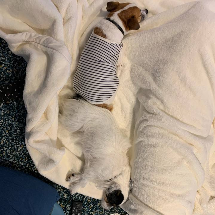 F9e6b9f2 6bbf 48b8 830b d49f9986d15b 1602308028466