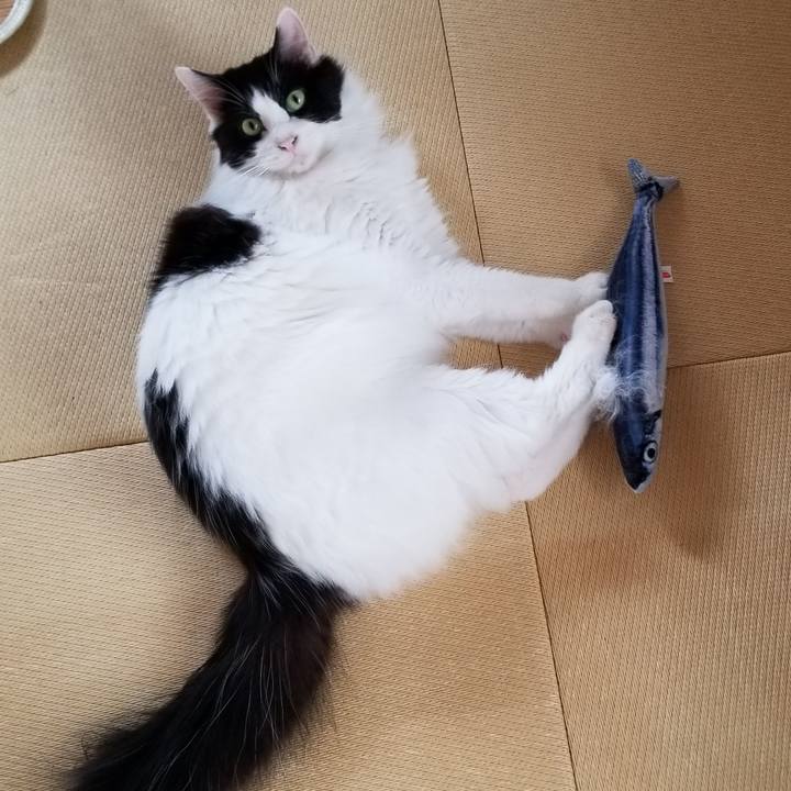 F9e70d9f 75b7 405f ada5 f8bea55581ab 1563743947020