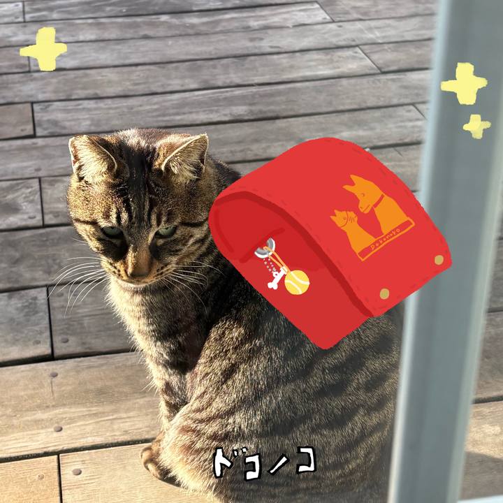 F9e727fe 7577 4c03 97b1 0af0765e11ca 1744261758516