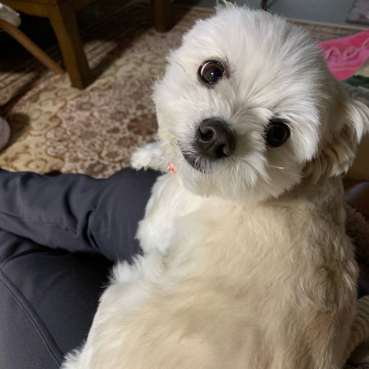 F9e7491c bcfa 4941 80b1 545ec147fad0 1581828354964