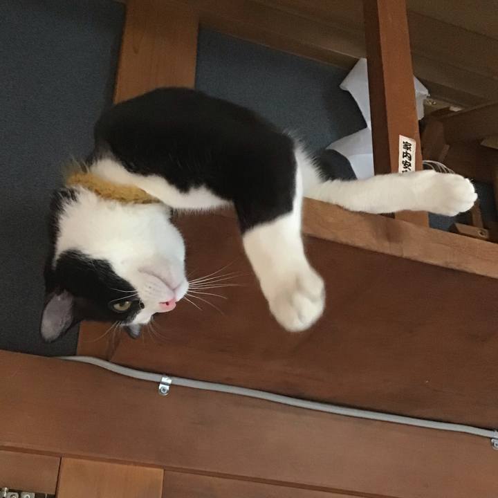 F9e74ac6 89b0 4abf b8d2 598227b778b9 1649321028877