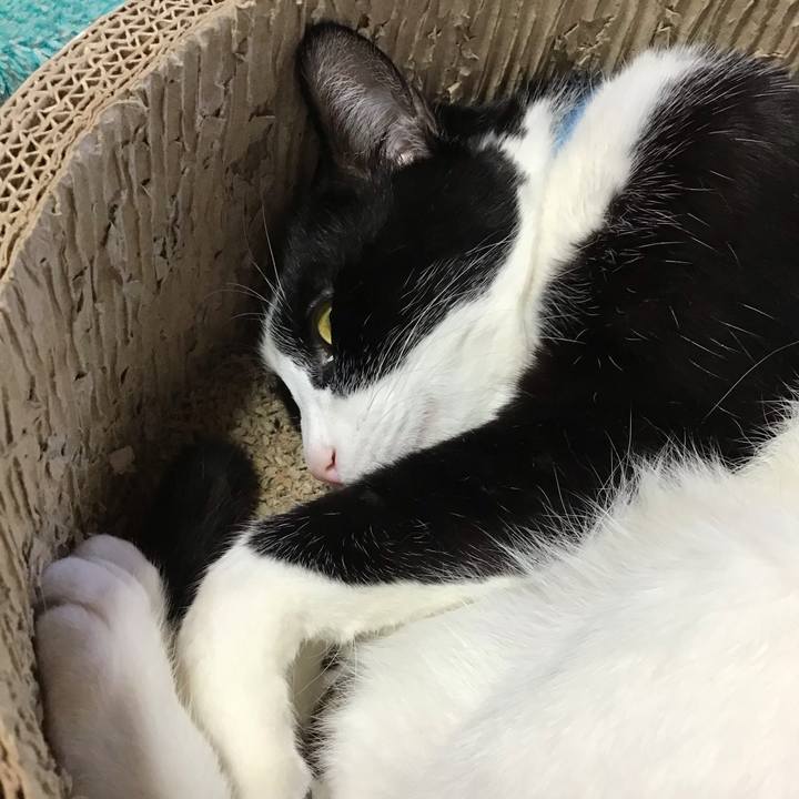 F9e75e95 4603 4c02 a406 8eefa120d912 1739437543707