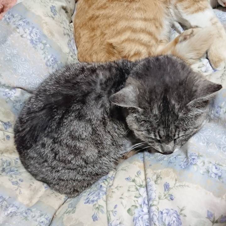 F9e77868 c260 4570 88af b1b398ce413a 1590668662500