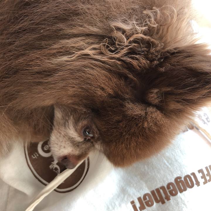 F9e77dc1 78bc 4e9e b19c fd813dd1c610 1634099627002