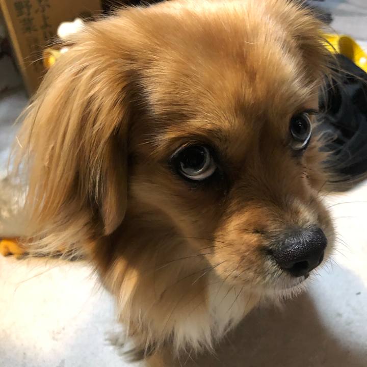 F9e78c61 398d 4f24 b9c8 56ced83d36dc 1550094061815