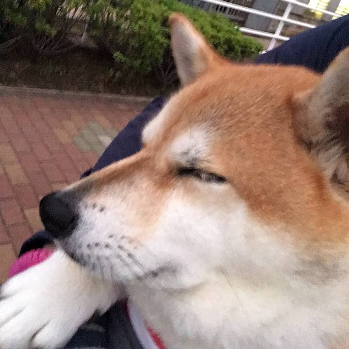 F9e7990a c006 4230 8f85 5461ce1e829a 1568371856758