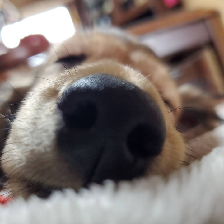 F9e7b870 4c3b 40fb a33c 7617e8546e55 1762387706004