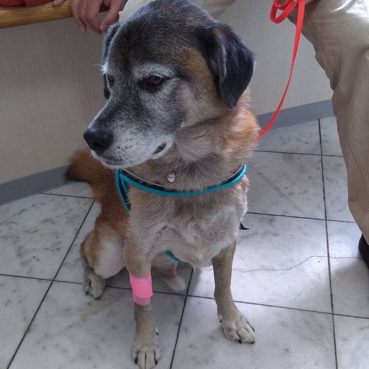 F9e7ddb9 bb70 41cd 9a36 3f95dcb2c036 1573019693556