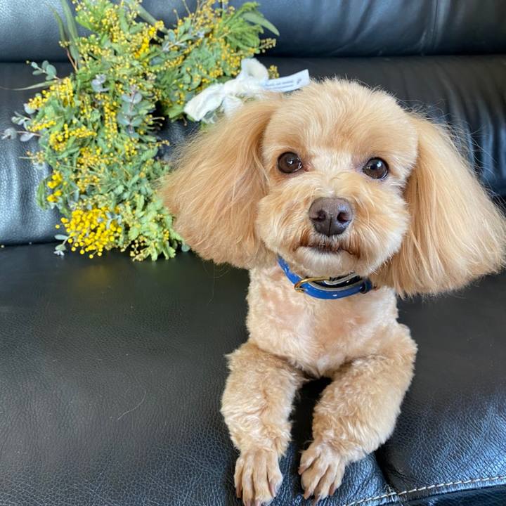 F9e7e0eb a390 4154 8f86 da02cc5d6873 1613196600304