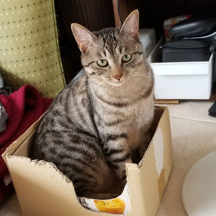 F9e7e2c9 bd67 4160 98bf 97433d83d5e3 1691637341903