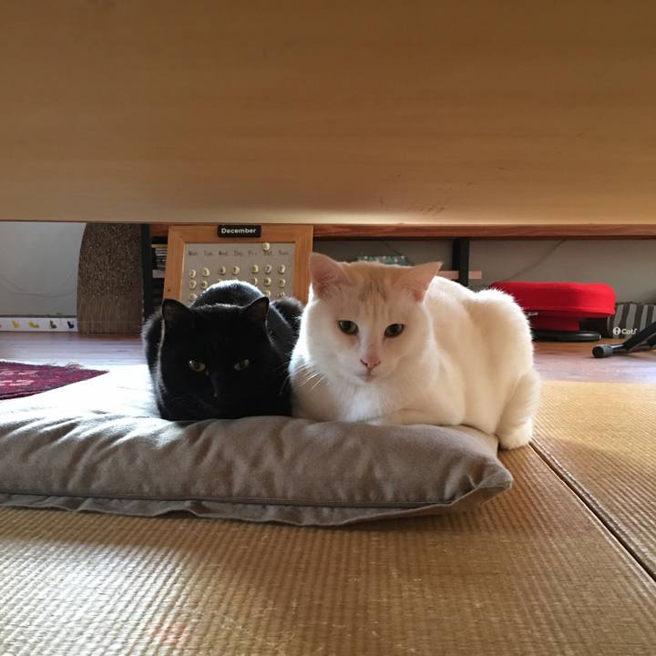 F9e88275 8efb 426c 9907 a013ba4d2890 1576797326274