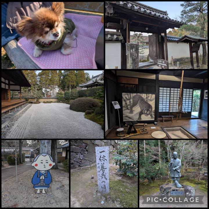 F9e89888 d051 43e1 8d36 452377a007e9 1768690798649