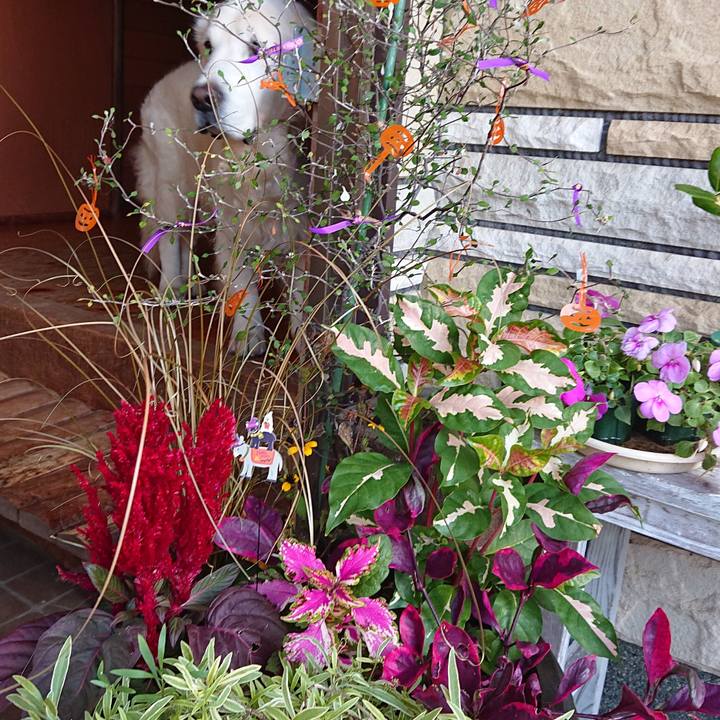 F9e8a3ec b253 4972 a04c 95afe54e07f1 1572545955563