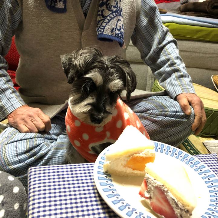 F9e8cbc3 6ec7 483d 84d2 940d6b6b8230 1641217537517