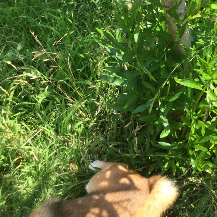 F9e8e654 e13b 4699 9236 57f7f013af0f 1561525117129