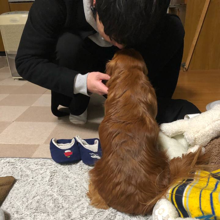 F9e8f017 98e9 4b1e 84ee 103a14c0b084 1611147249400