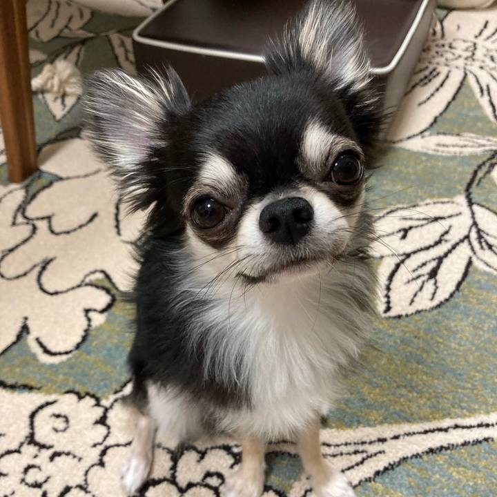 F9e8f04d 8e8c 48bd b317 24b576aea264 1621691550767