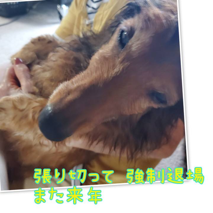 F9e91b81 eff4 4f7e a983 e42a84a7adcd 1691831528165