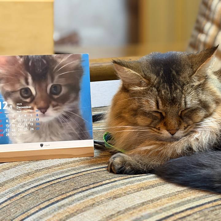 F9e92ae0 34f5 4cd7 81bb 9ad64224c6f4 1764542696934