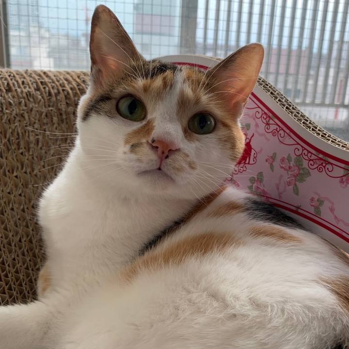 F9e94de4 913f 4871 9aaa 7aad716a7c2a 1658421597074