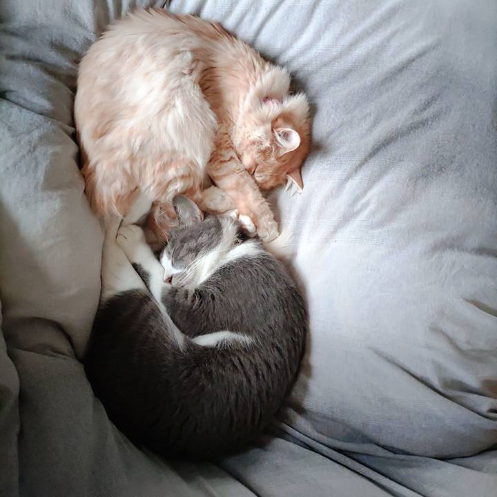 F9e95a28 9201 4885 8ff2 617ca9d7c362 1669593182378