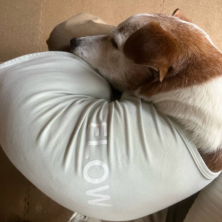 F9e95b72 61ff 4802 9605 68a82f5a554a 1763770276945