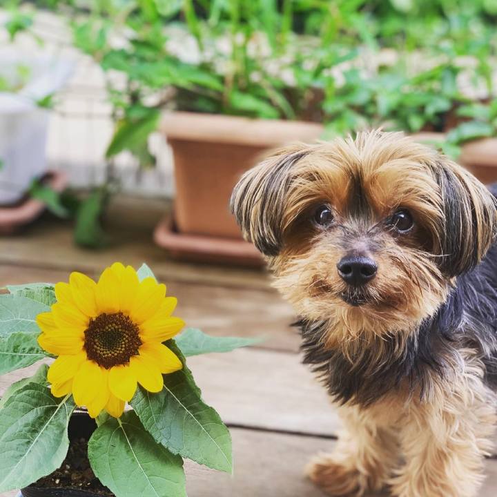 F9e9e23f 1505 4704 8ee6 22dc1daf4e75 1624948515764