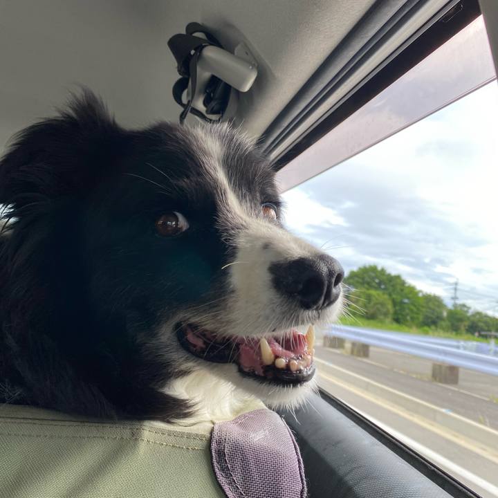 F9ea0a76 e42c 496a 8c38 27e109efe90c 1659218866293