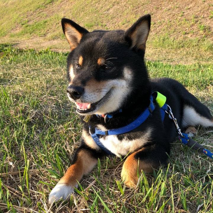 F9ea1dd9 950f 4a6b bb5b 226c0c3475c5 1559734972307