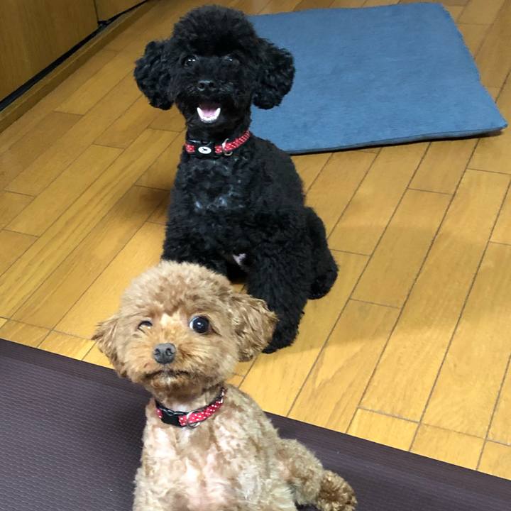 F9ea4045 b8a3 4cac b771 f9a507662961 1567507484029