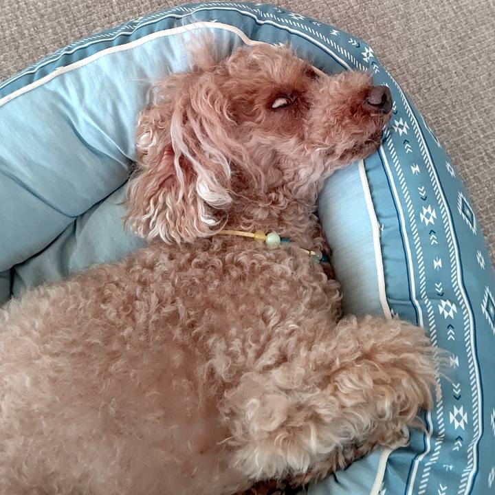 F9ea6502 d020 453d 8e37 e6ec093b0f8d 1597122810017