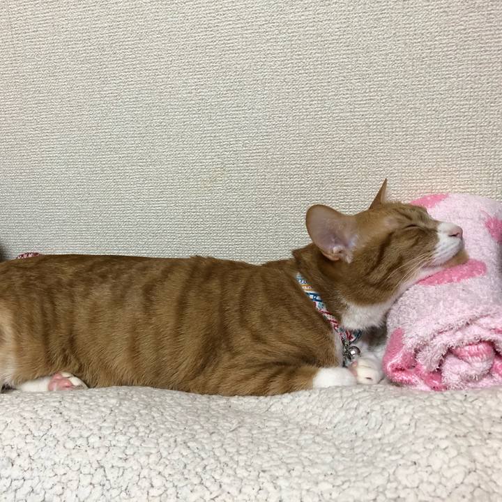 F9ea88e2 f0db 494c 80b2 f92430bb599a 1583485590326