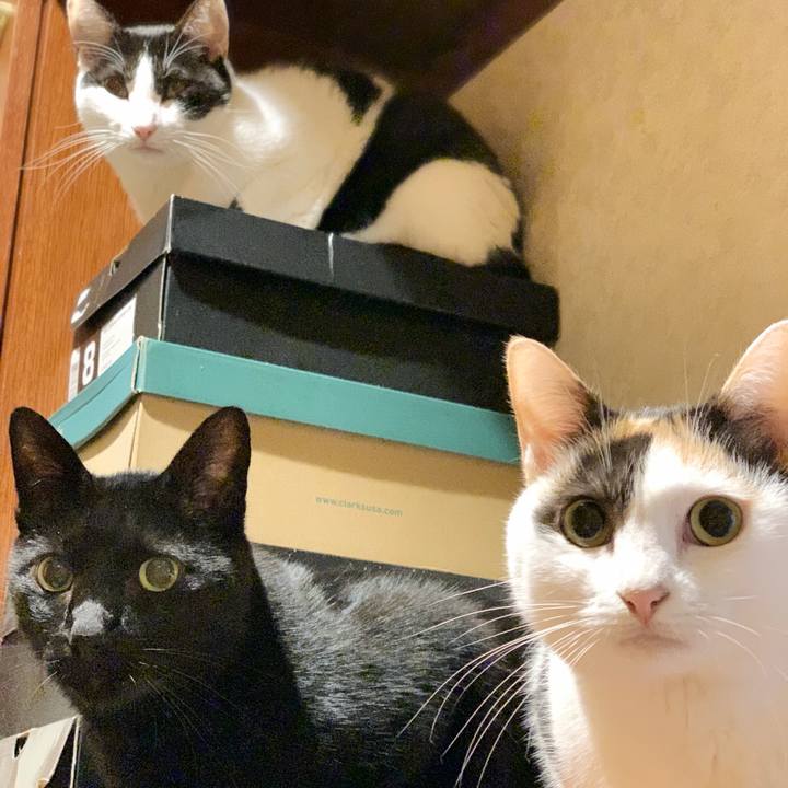 F9ea909b 0a3a 4ba5 bae3 06a0b4f845c0 1541732835766