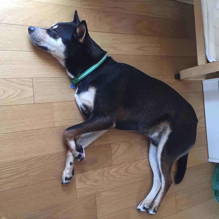 F9eaaa31 b19b 49b1 8895 ae36ae8b5e47 1533356767913