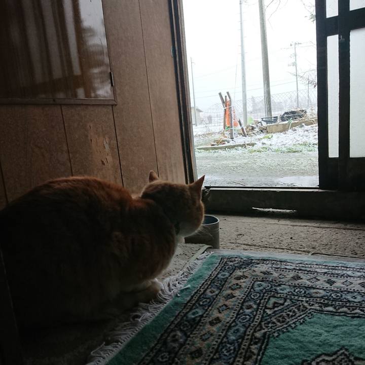 F9eaadf6 f089 42c1 b42f de1eae5ef74a 1582430112941